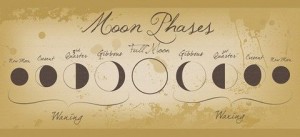 moon faze