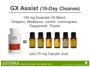 GX Assist (10-Day Cleanse)